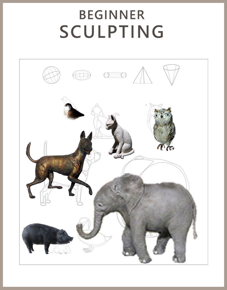 Beginner Sculpting Class